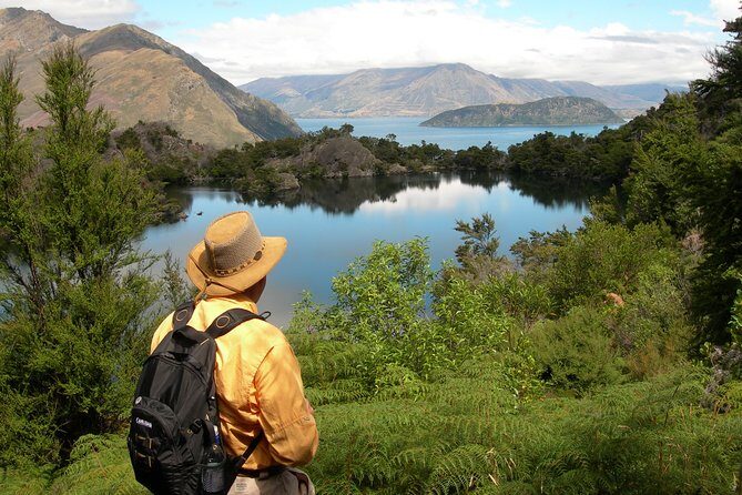 Lake Cruise & Mou Waho Island Nature Walk - Starting Point: The Lake Wanaka Cruise