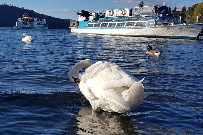 Lake District Adventure Sightseeing Day Trip from Liverpool - What to Keep in Mind