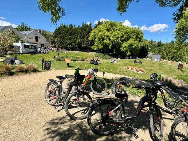 Lake Dunstan Trail eBike Adventure (inc Shuttle) - Who Would Love This Tour?