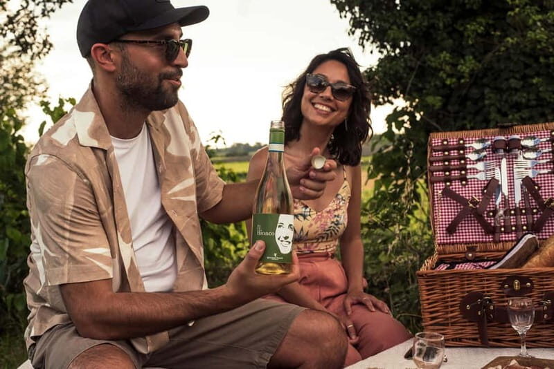 Lake Garda: Pic Nic in the vineyard with wine tasting - A Closer Look at the Experience