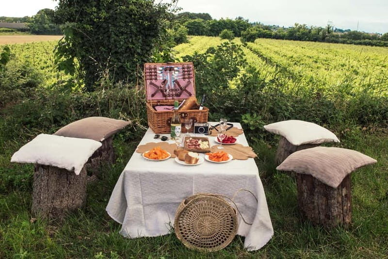 Lake Garda: Pic Nic in the vineyard with wine tasting - Final Thoughts