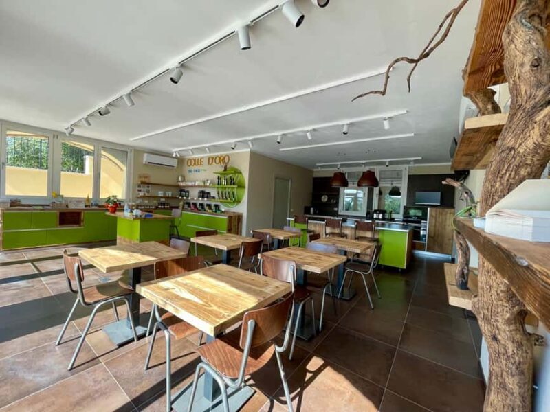 Lake Garda: Tour with 4 Olive Oil Tasting & Local Food - Frequently Asked Questions