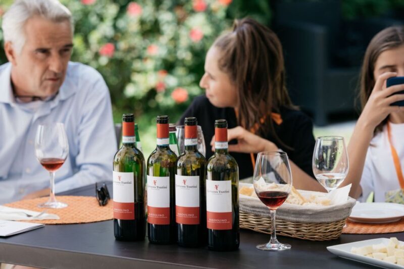 Lake Garda: Vineyards Tour and Wine Tasting - Who Should Consider This Tour?