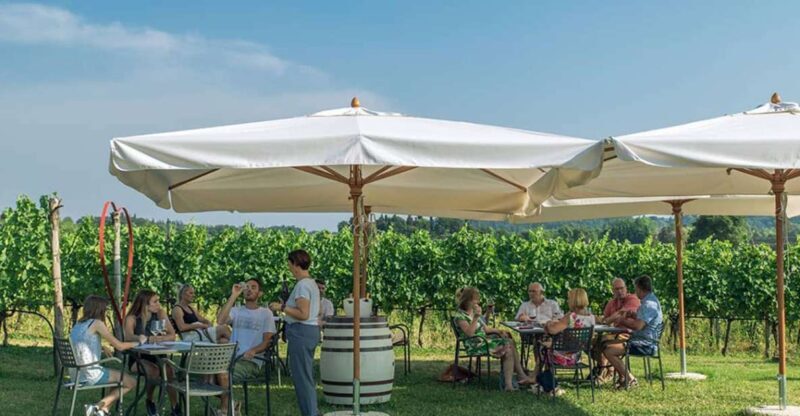 Lake Garda: Wine and Food Tastings in the Vineyards - An In-Depth Look at the Experience
