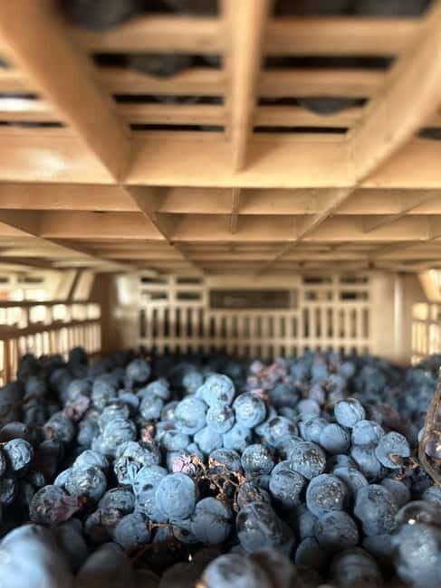 Lake Garda: Wine Tasting and Myths Tour with Local Snacks - Final Thoughts