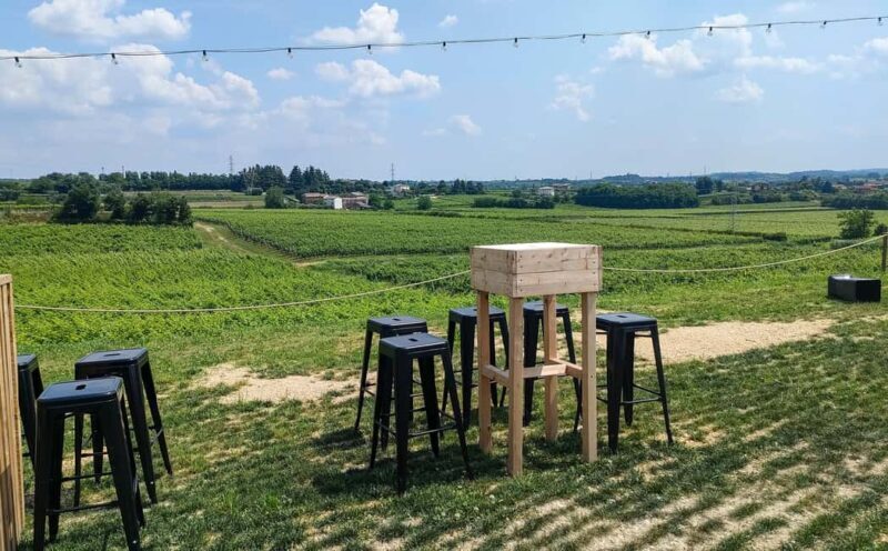 Lake Garda: Wine Tasting with Panoramic View - An In-Depth Look at the Experience