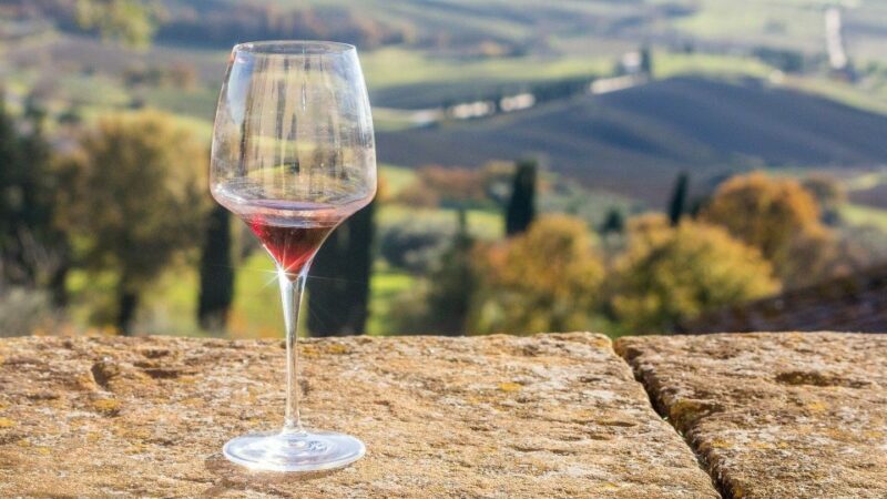 Lake Garda: Wine Tour and Tasting Experience in Bardolino - Who Should Consider This Tour?
