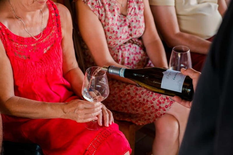 Lake Garda: Winery Tour & Wine Tasting with Local Delicacies - Key Points