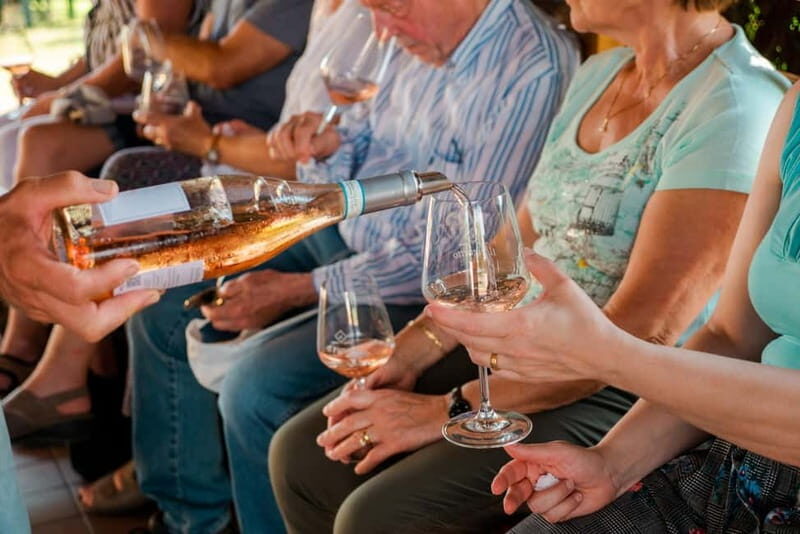 Lake Garda: Winery Tour & Wine Tasting with Local Delicacies - Who Will Love This Tour?