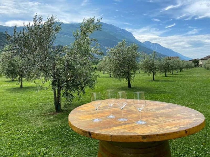 Lake Garda: Winery Visit with Wine and Olive Oil Tasting - A Detailed Look at the Experience