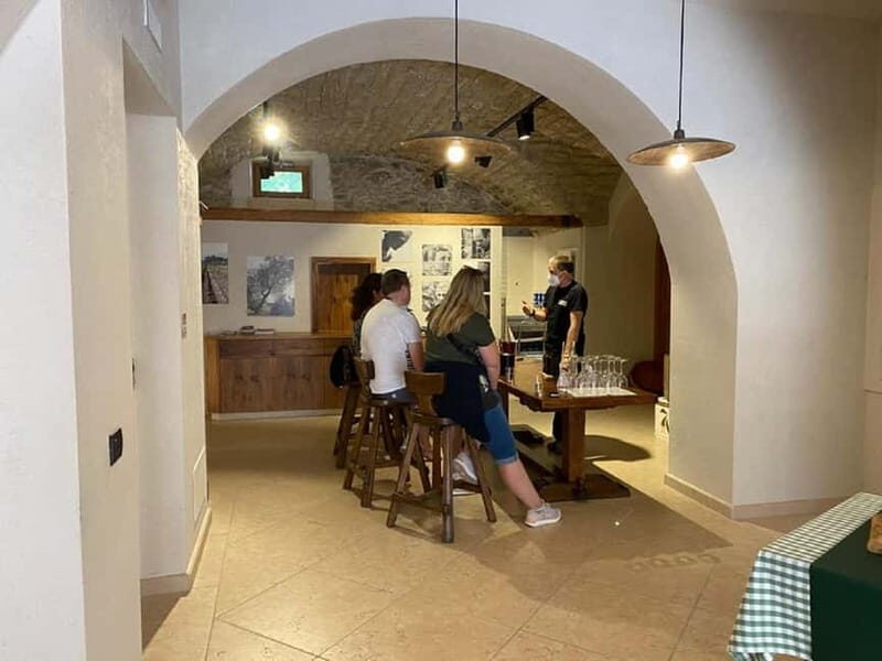 Lake Garda: Winery Visit with Wine and Olive Oil Tasting - Who Should Consider This Tour?