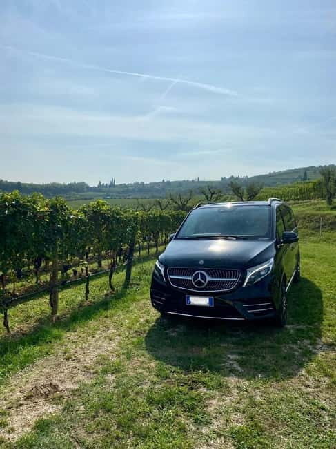 Lake Garda: Winery Visit with Wine and Olive Oil Tasting - FAQ (Frequently Asked Questions)