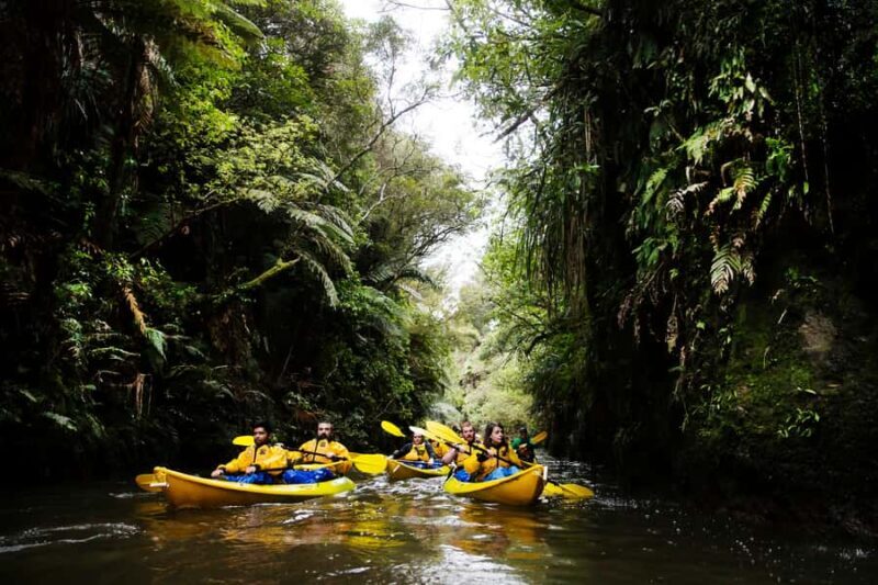 Lake Karapiro: Evening Kayak Glowworm Tour - Introduction