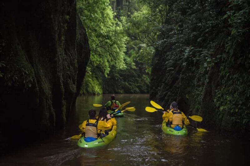 Lake Karapiro: Evening Kayak Glowworm Tour - An Authentic Experience for Nature Enthusiasts