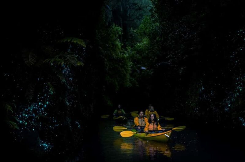Lake Karapiro: Evening Kayak Glowworm Tour - Is It Worth the Price?