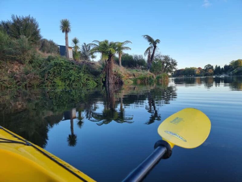Lake Karapiro: Evening Kayak Glowworm Tour - Who Will Love This Tour?
