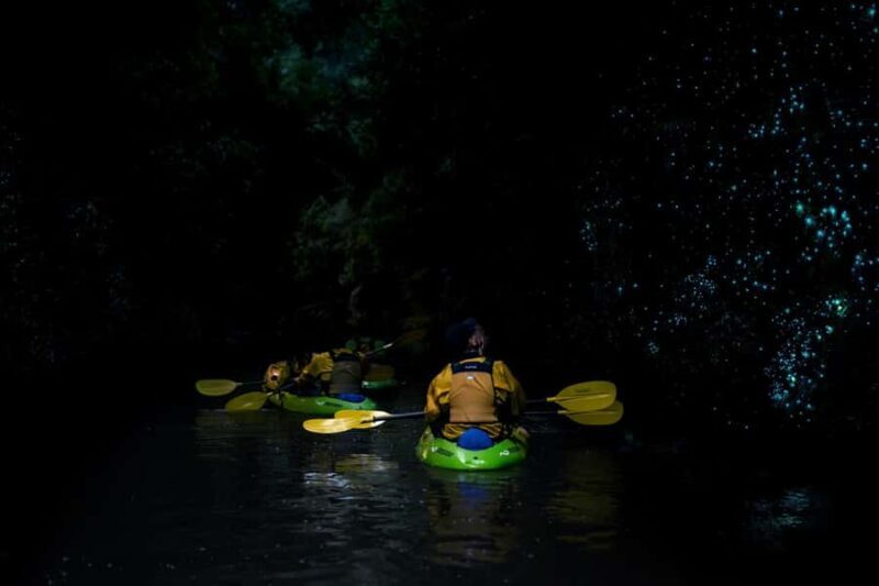 Lake Karapiro: Evening Kayak Glowworm Tour - The Sum Up