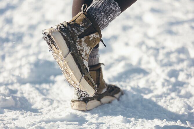 Lake Louise and Icefields Parkway Winter Tour - FAQ