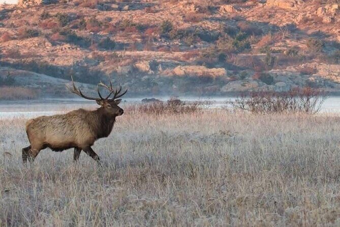 Lake Louise, Banff Gondola, Minnewanka and Banff Town Tour - Exploring the Canadian Rockies: Lake Louise, Banff Gondola, Minnewanka, and Banff Town Tour