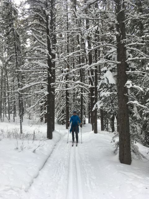 Lake Louise: Cross Country Skiing Lesson with Tour - Key Points