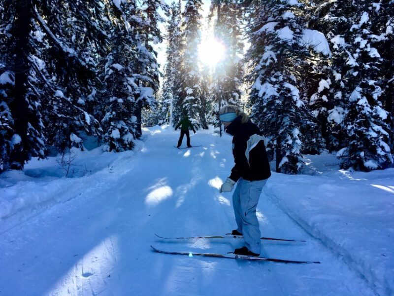Lake Louise: Cross Country Skiing Lesson with Tour - Equipment and Practicalities