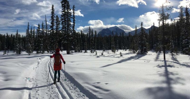 Lake Louise: Cross Country Skiing Lesson with Tour - The Sum Up: Who Will Love This Tour?