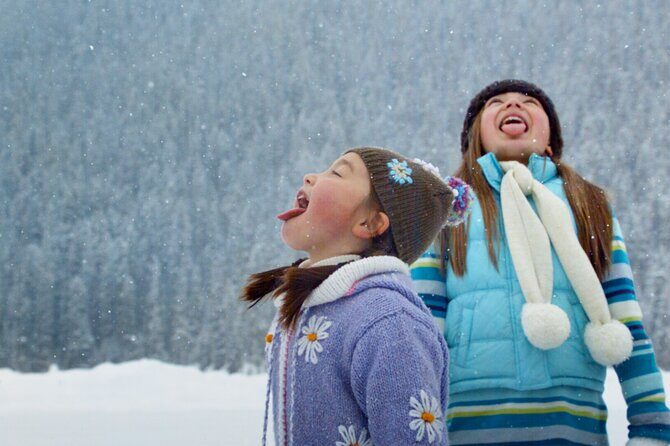 Lake Louise Johnston Canyon Peyto Lake Icefields Parkway Daytrip - Lake Louise: The Frozen Fairy Tale