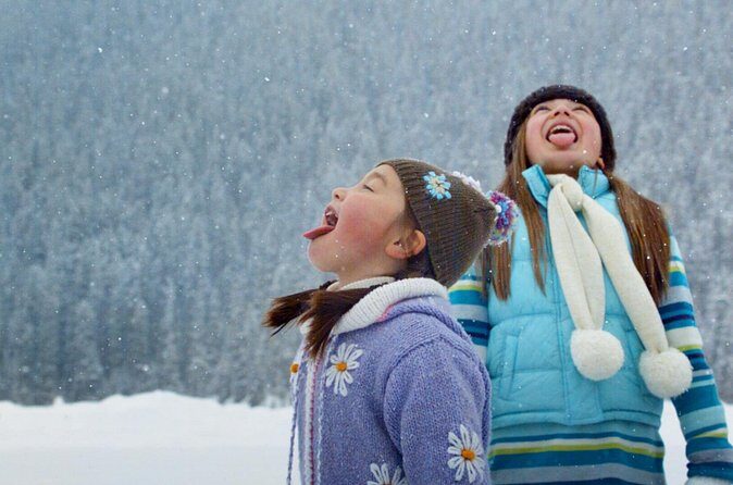 Lake Louise Johnston Canyon Peyto Lake Icefields Parkway Daytrip - The Authentic Experience