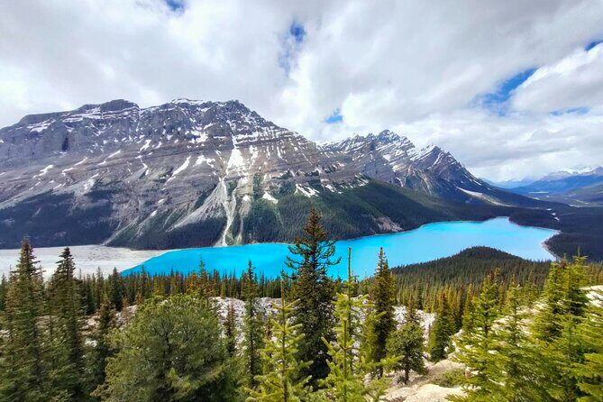 Lake Louise, Moraine Lake, Peyto Lake, Crowfoot Tour from Banff - Value and Pricing
