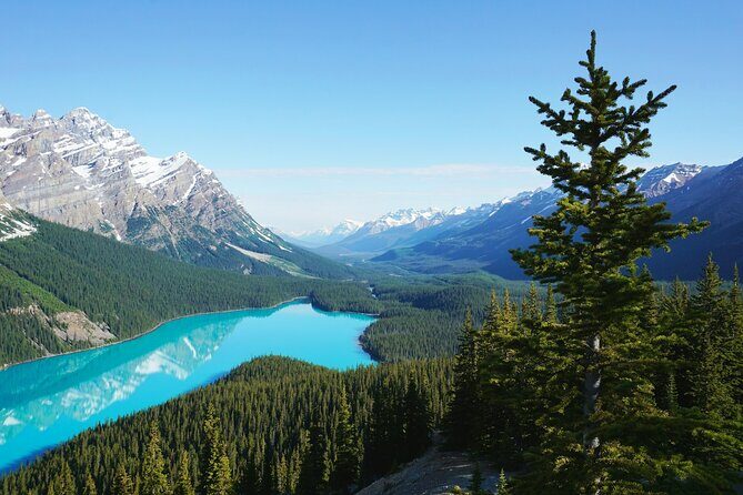 Lake Louise Moraine Lake Peyto Lake Icefield Parkway Day Trip - An In-Depth Look at the Tour Itinerary