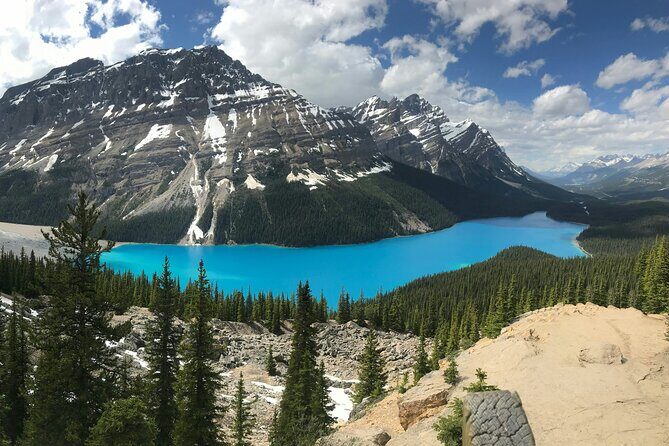 Lake Louise Peyto Lake Bow Lake Crowfoot Glacier Half Day Tour - Key Points