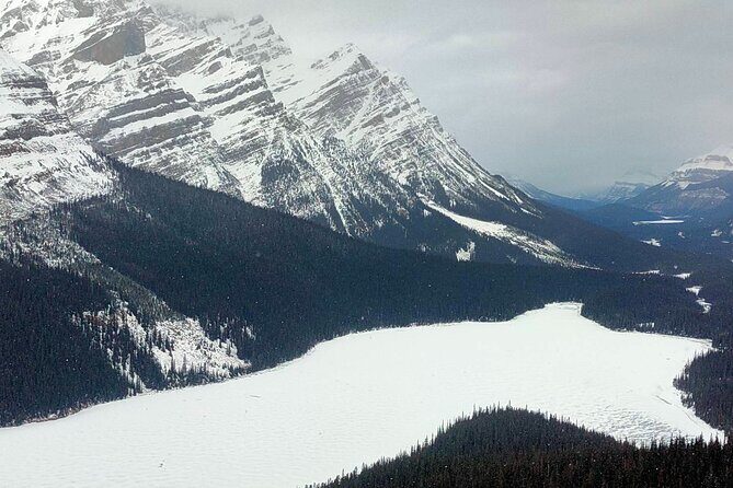 Lake Louise Peyto Lake Bow Lake Crowfoot Glacier Half Day Tour - What to Expect During the Tour