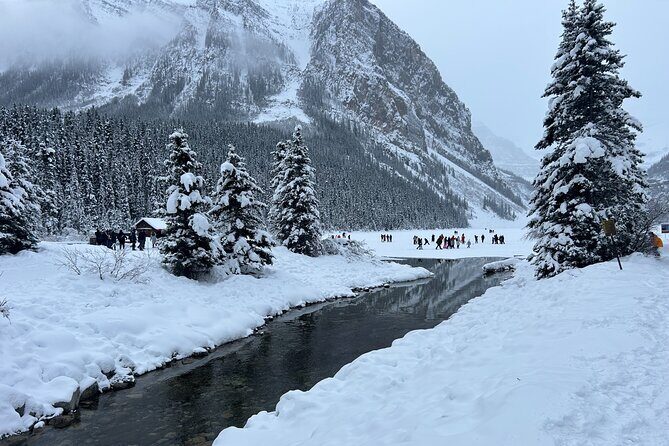 Lake Louise to Calgary or Calgary Airport Private Transfer - The Sum Up