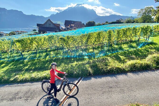 Lake Lucerne Peninsula e-Bike Tour - Lake Lucerne Peninsula E-Bike Tour: A detailed look at an unforgettable Swiss experience