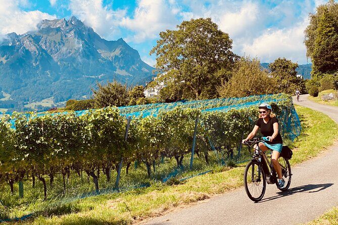 Lake Lucerne Peninsula e-Bike Tour - Key Points