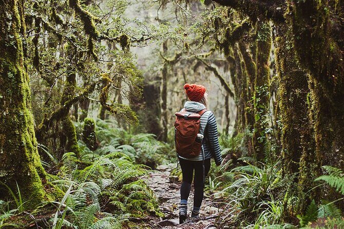Lake Marian Guided Hike with Transfers, Lunch & Morning Tea - Discovering the Lake Marian Guided Hike: A Balance of Beauty and Adventure