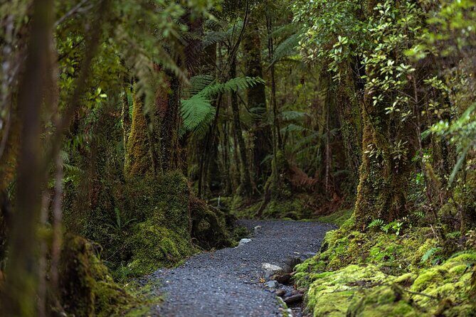 Lake Matheson Nature Tour - Why It’s Worth Considering