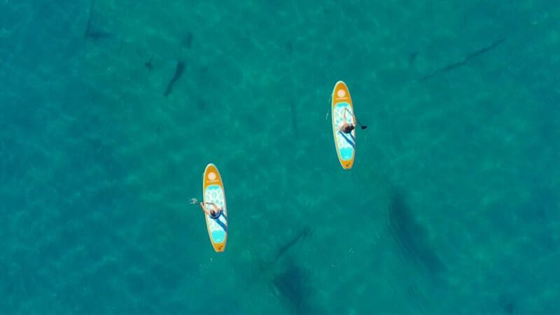 Lake Mead Paddle Board Tour (Private) - Key Points