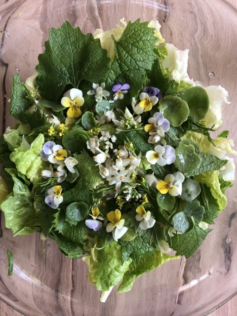 Lake Nemi: Herbs of the Moon Sensory Farm Visit - Final Thoughts