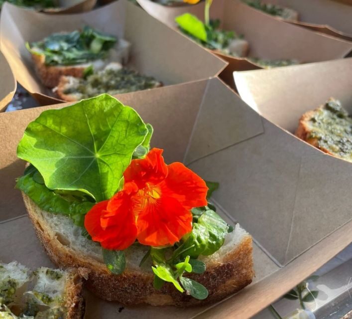 Lake Nemi: SUP Course and Food Tasting at the Lake - Practical Details and What to Expect