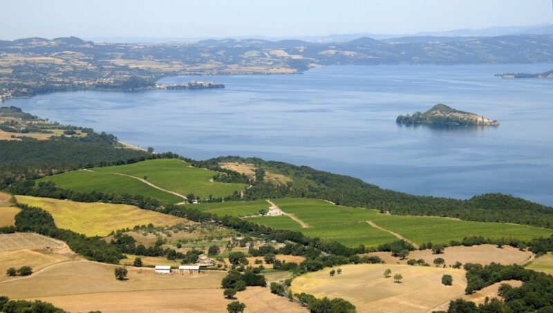 Lake of Bolsena: Private Cellar Tour and Wine Tasting - A Deep Dive Into the Experience