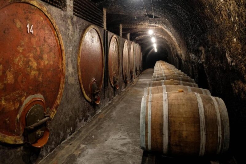 Lake of Bolsena: Private Cellar Tour and Wine Tasting - Final Words
