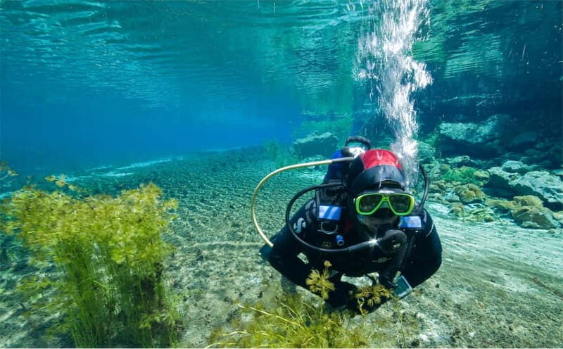 Lake Ohrid: Try Diving at the Bay of the Bones - Exploring the Experience: What You Can Expect
