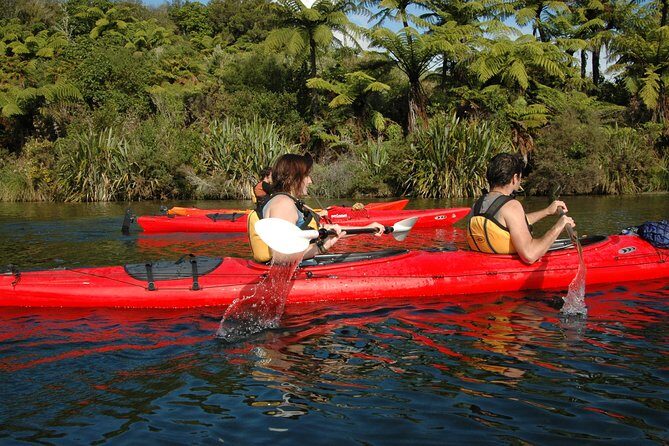 Lake Rotoiti Guided Hot Pools Kayak Trip - Who Should Consider This Experience?