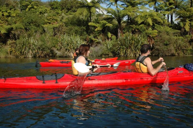 Lake Rotoiti & Hot Pools Guided Kayak - Key Points