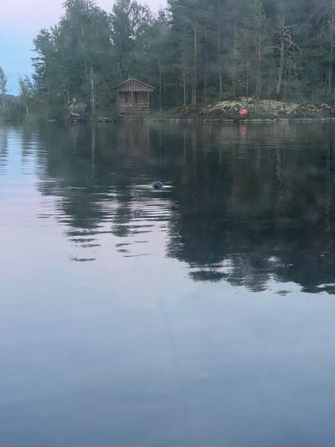 Lake Saimaa story cruise by Ecoboat in Puumala - FAQ