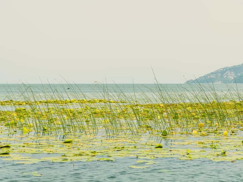 Lake Skadar: Short Boat Tour to Grmour Fortress with Drinks - FAQ