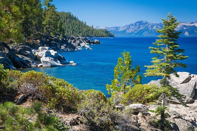 Lake Tahoe Day Trip with Scenic Views - The Sum Up: Who Should Sign Up?