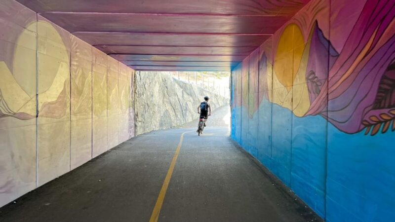 Lake Tahoe: Electric Bike Rental - An In-Depth Look at the Electric Bike Experience at Lake Tahoe