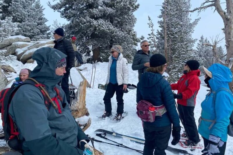 Lake Tahoe: Guided Snowshoe Experience - An In-Depth Look at the Lake Tahoe Snowshoe Tour